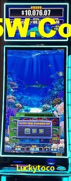 Bonus Features Luckytoco